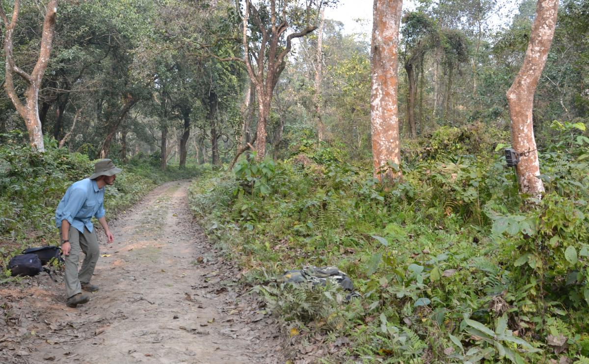 Neil Carter aligns a camera trap in Chitwan