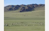 Mongolian rangelands and their response to climate change are the topic of a CNH grant.