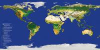 New web tool to improve accuracy of global land cover maps