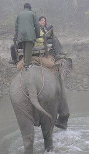 Nichols on elephant in Nepal